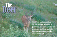 The Deer Poster