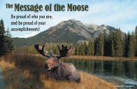 The Message of the Moose Poster
