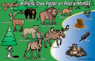 A Plains Cree Poster on Prairie Animals