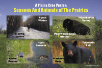 Seasons & Animals of the Prairie Poster